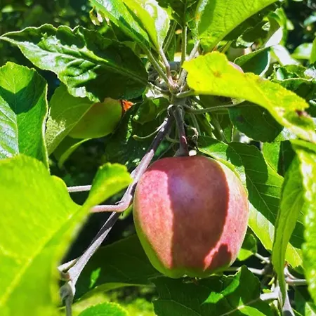 Vakantiehuis Dream Weekend House *