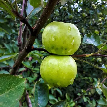 Dream Weekend House Casa vacanze Visoko