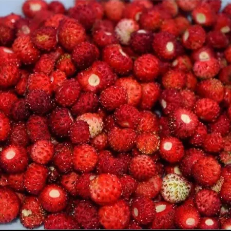 Dream Weekend House Casa vacanze *