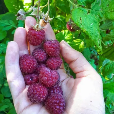 Dream Weekend House *