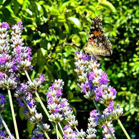 Dream Weekend House Casa vacanze *