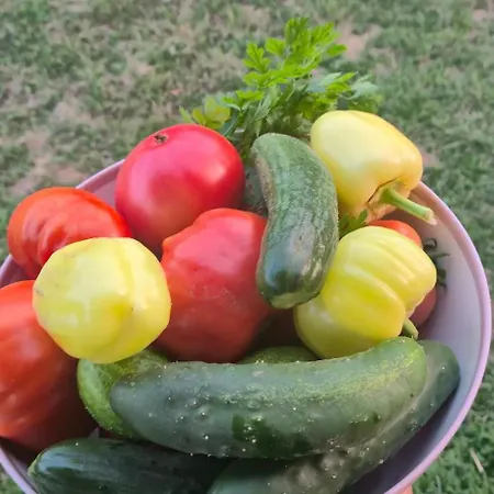 Casa vacanze Dream Weekend House Visoko