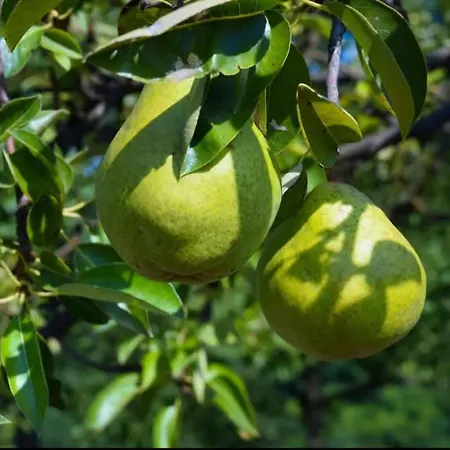 Casa vacanze Dream Weekend House