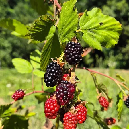 Vakantiehuis Dream Weekend House *